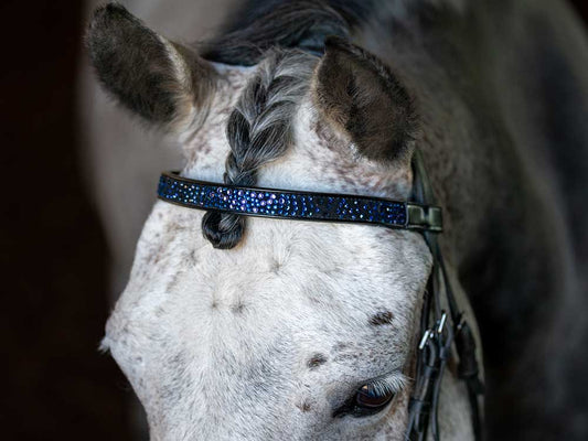 Cerulean Sparkles Browband