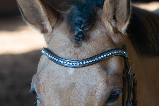 Frozen Browband
