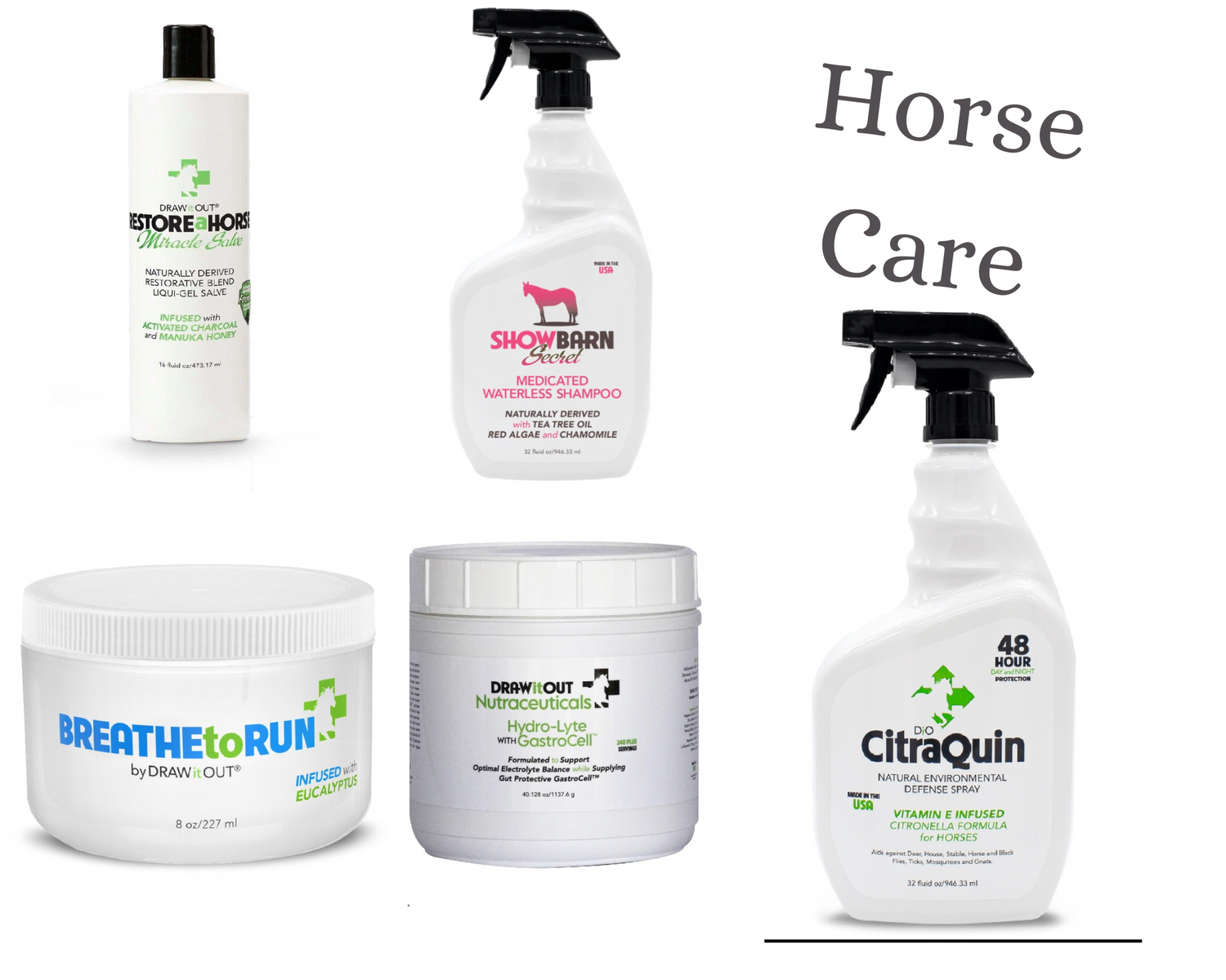 Horse Care