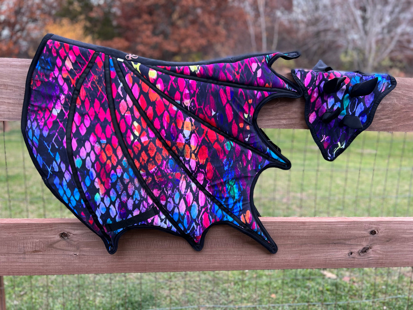 Dragon Wings