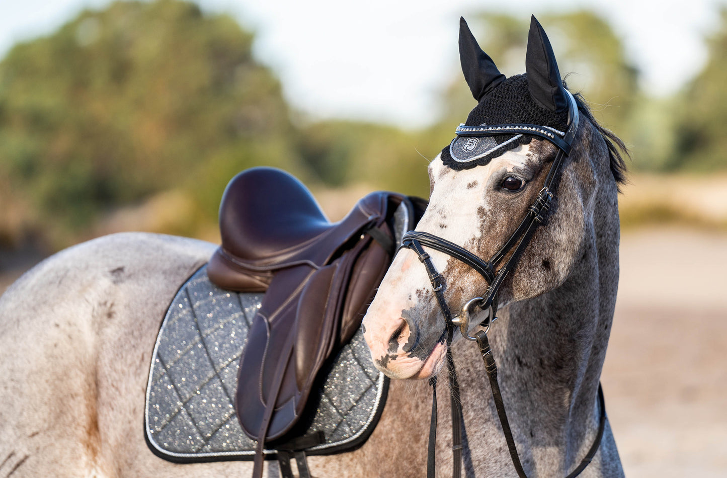 Stardust Grey Browband