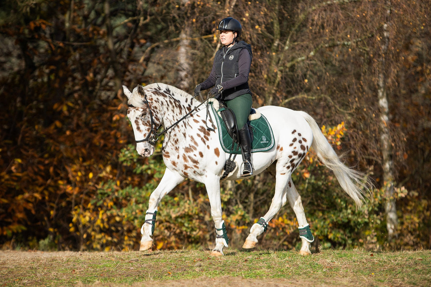 Pine Grove Saddle Pad