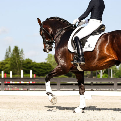 B&W - White Saddle Pad Set