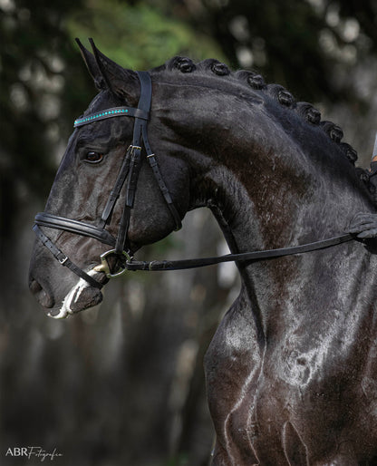 Teal Browband