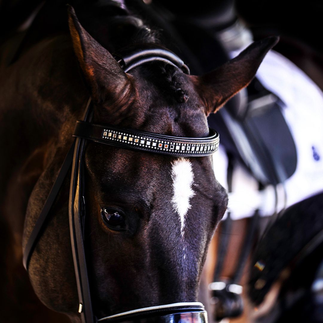 B&W Browband