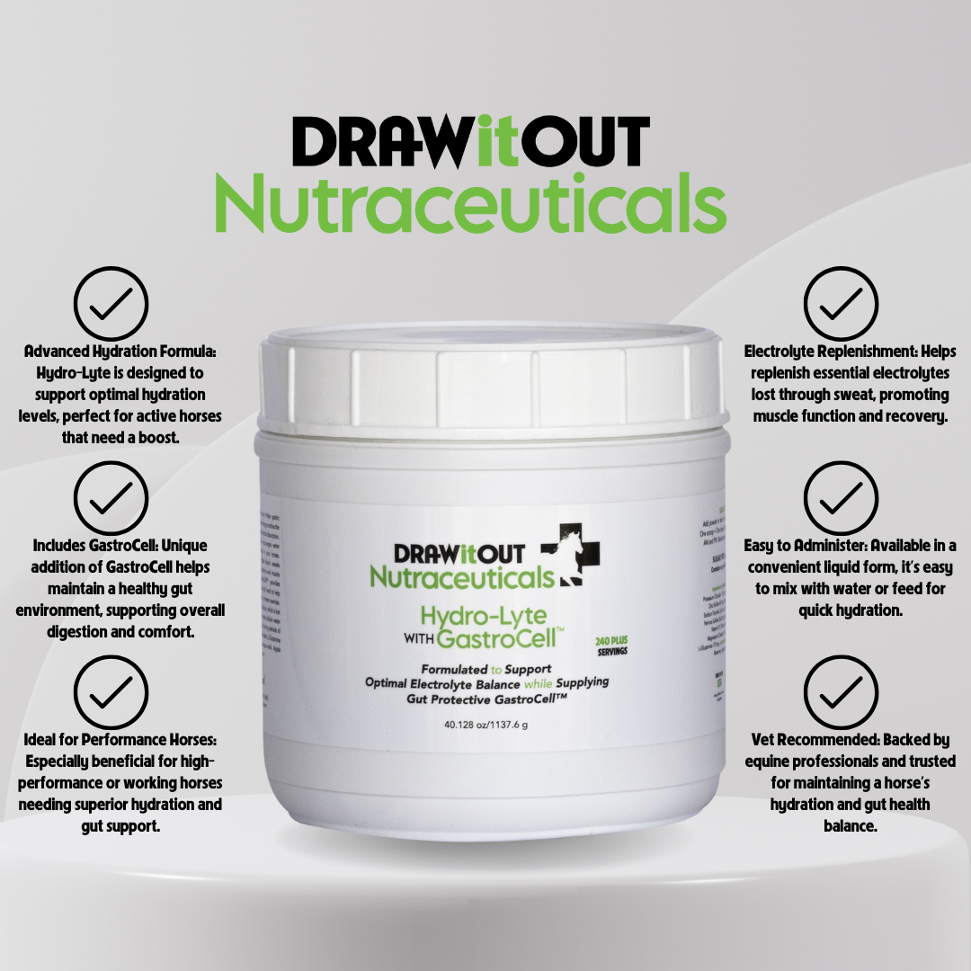 Hydro-Lyte® Electrolyte + Gut Recovery | Draw It Out®