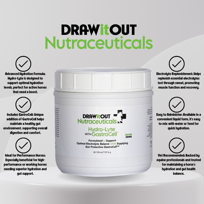 Hydro-Lyte® Electrolyte + Gut Recovery | Draw It Out®