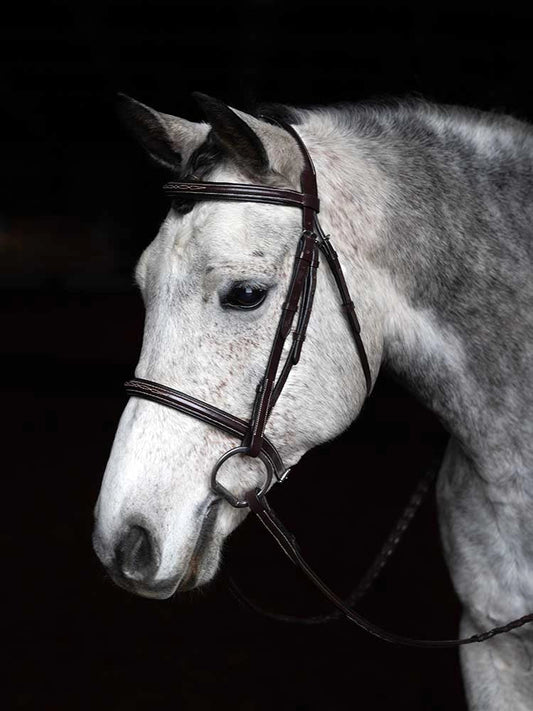 Arnold IV Square Raised Hunter Bridle