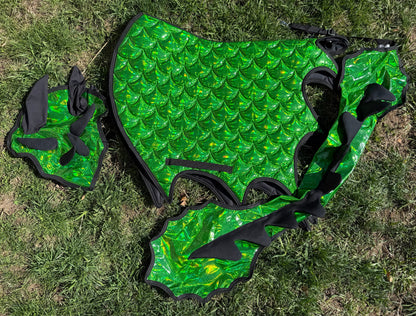 Dragon Wings