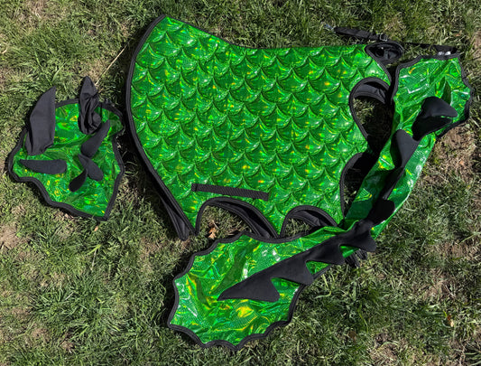 Dragon Wings