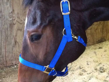 Nylon Halter