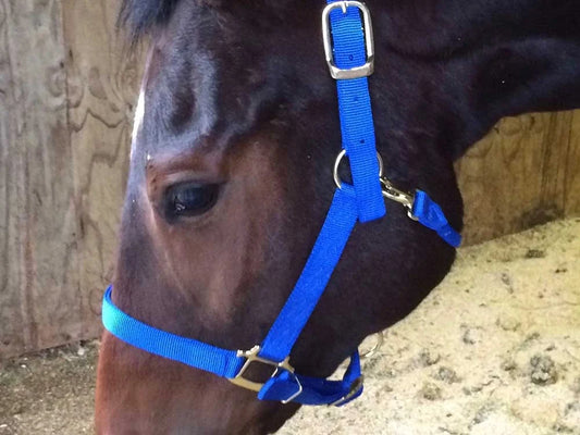 Nylon Halter