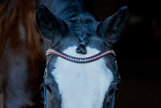 Cherry Blossom Browband