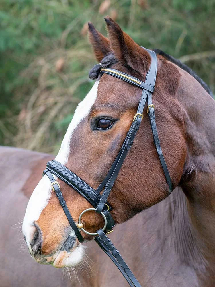 Danube Dressage Bridle with Clincher Browband