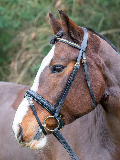 Danube Dressage Bridle with Clincher Browband