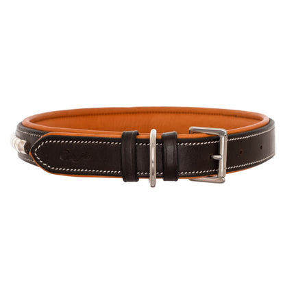 ExionPro Silver Clincher Padded Leather Dog Collar - Conker Padding