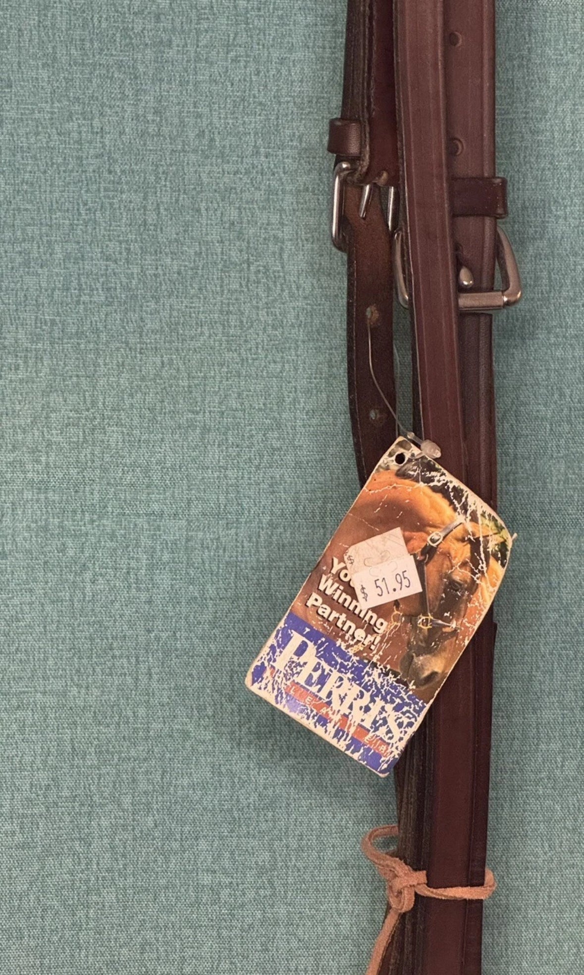 NEW Perris Flat Leather Standing Martingale Horse size in Havana