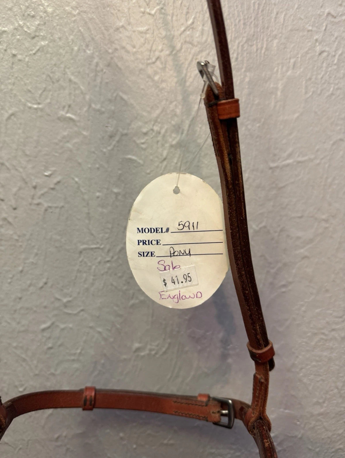 Blue Ribbon Pony Caveson Color-Newmarket 5911