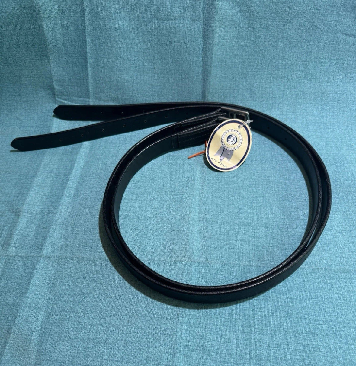Blue Ribbon Black Stirrup Leather 1"X46"