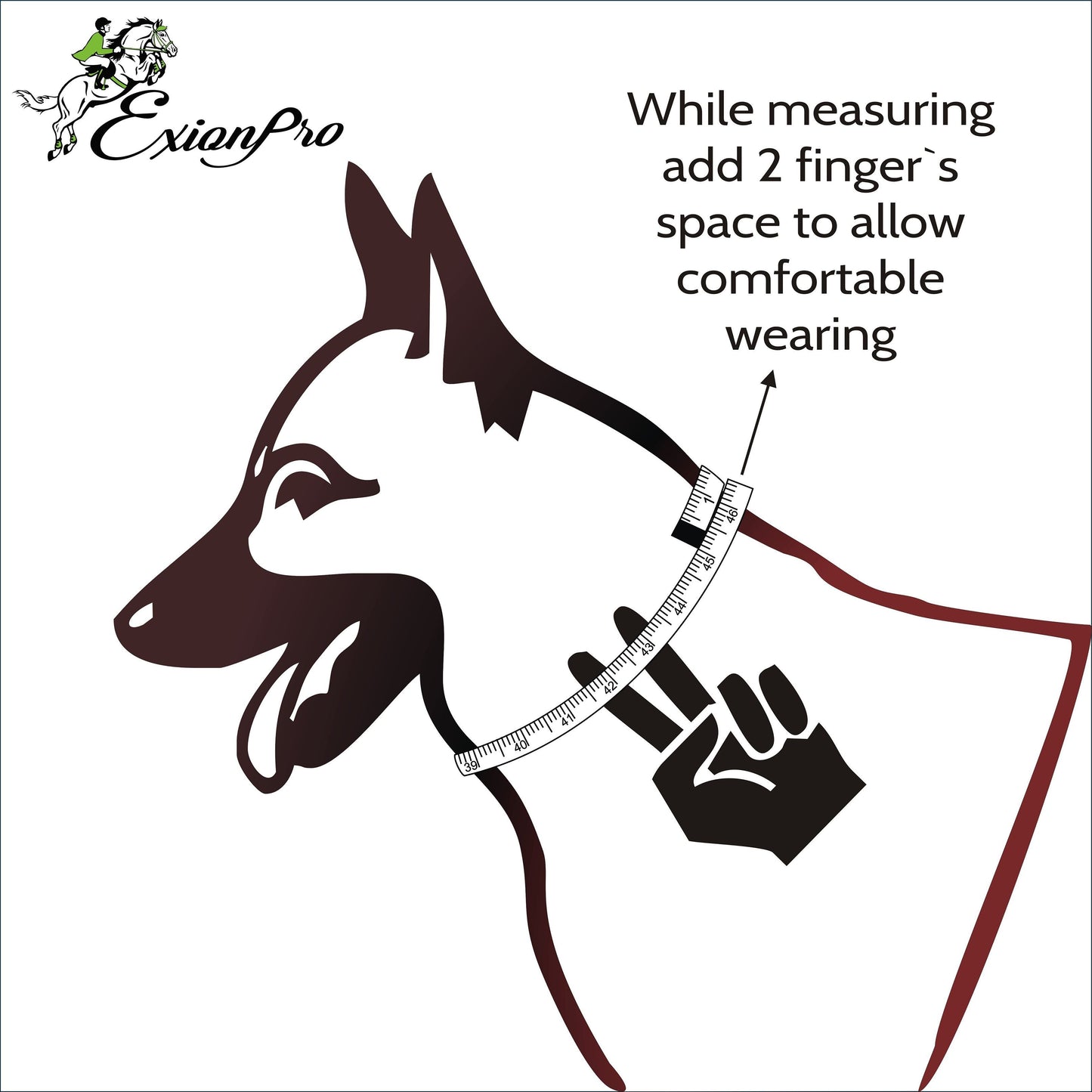 ExionPro Fancy Stitched Padded Leather Dog Collar - Havana Padding