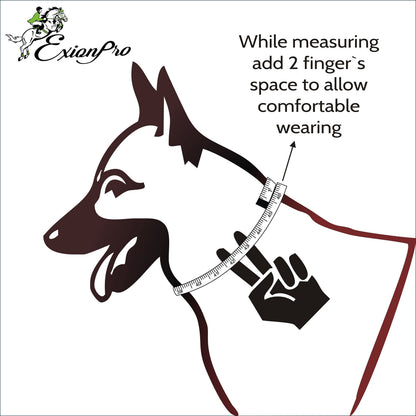 ExionPro White & Blue Bling Dog Collar With Leash