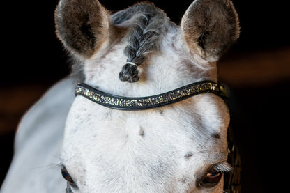 Metallic Bedazzled Browband