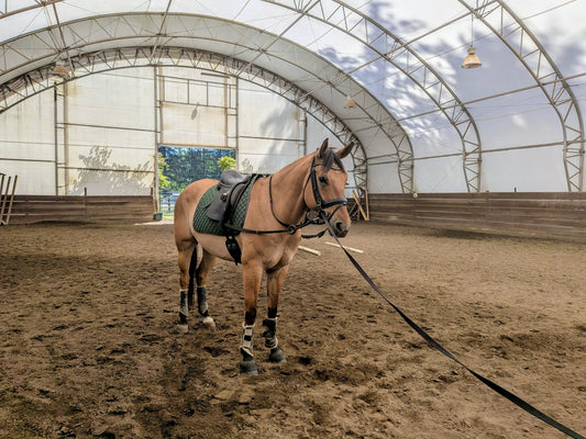 Nylon Lunge Lines