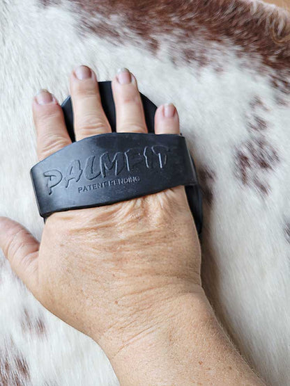 PalmFit Curry Comb