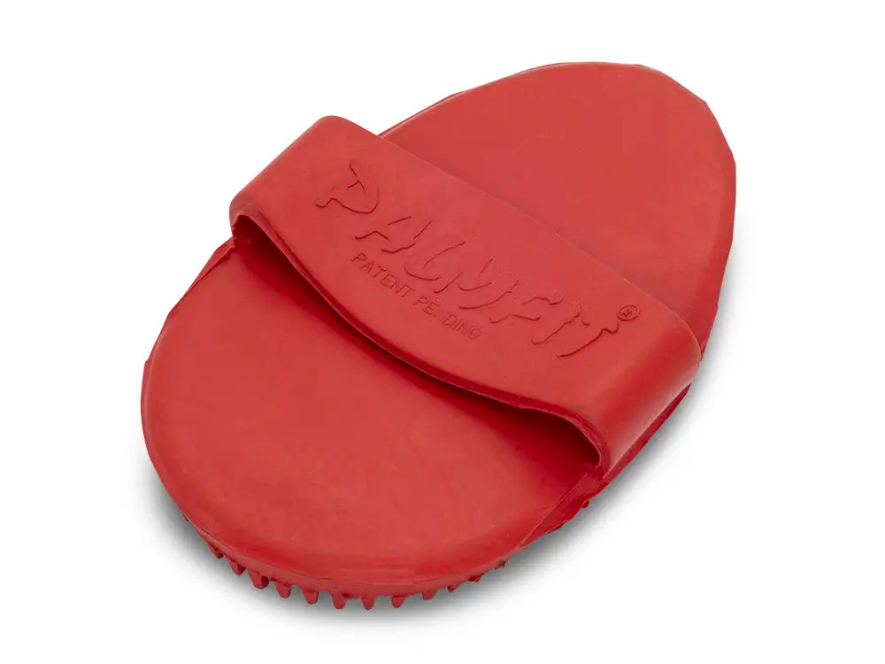 PalmFit Curry Comb