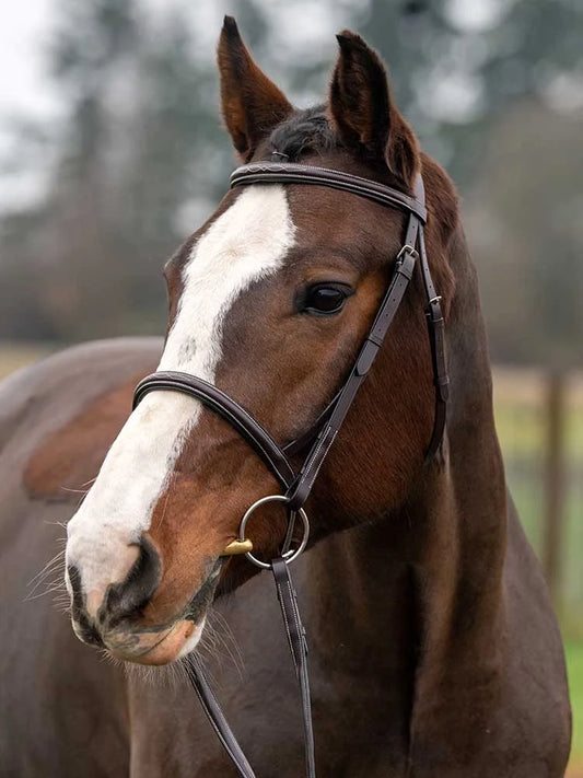 Royal Liverpool Round Raised Hunter Bridle