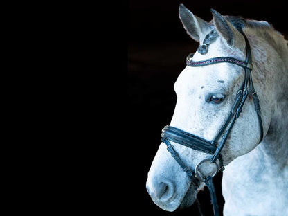 Spring Rose Browband