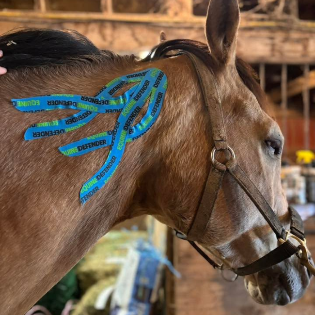 EQUINE|DEFENDER™ K Tape