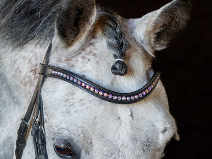 Winter Flower Browband