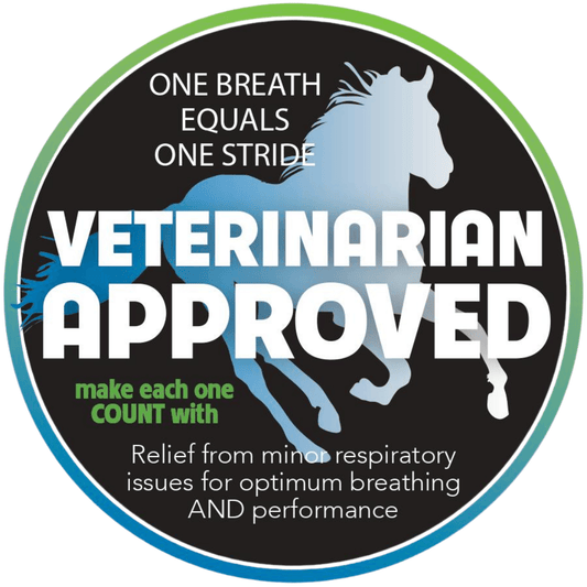 Breathe to Run by Draw it Out®