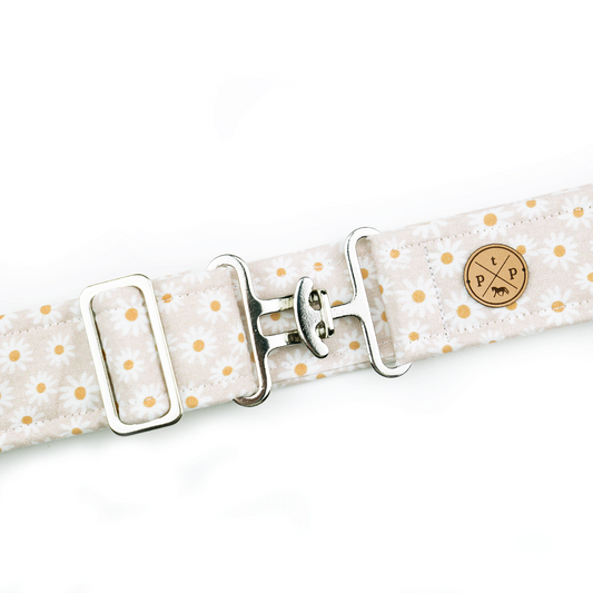Daisy Chain Belt
