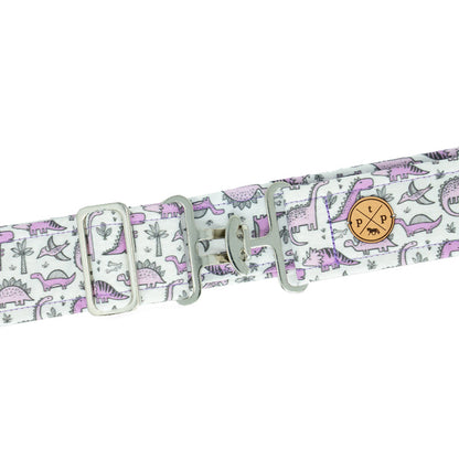 Dino's (Purple) Belt