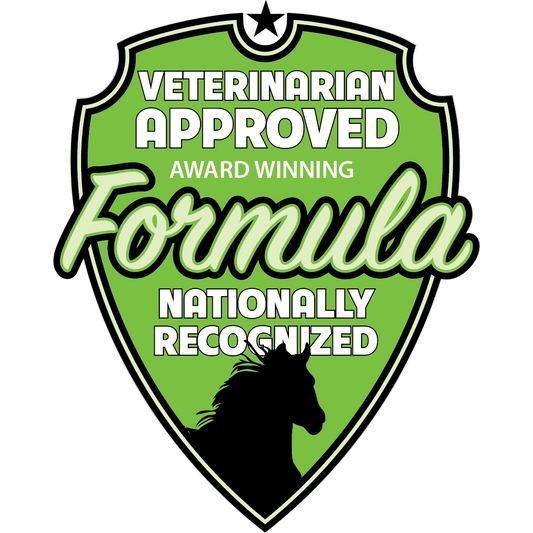 Draw It Out® 16oz High Potency Horse Liniment Gel – Powerful, Natural Relief