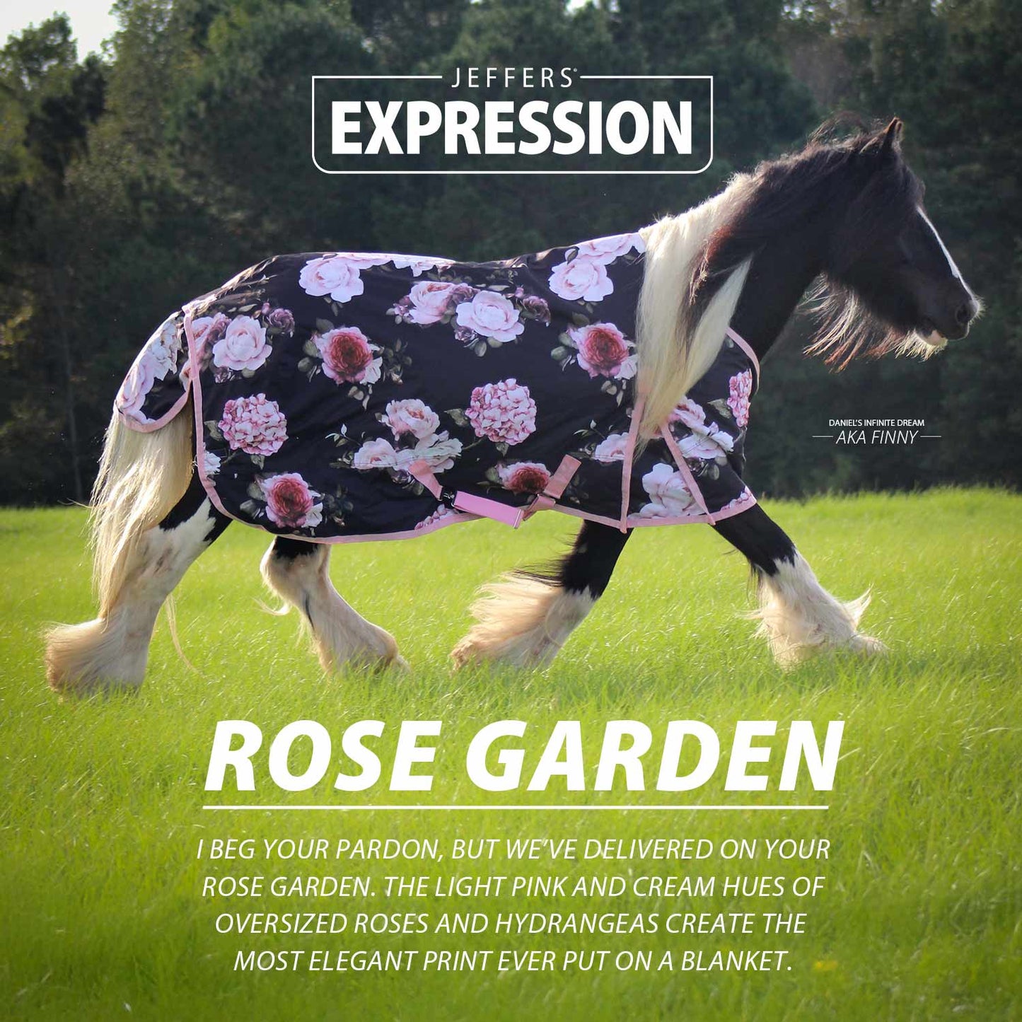 Jeffers Expression 1200 Denier Standard Neck Turnout Horse Blanket, 240 Gram