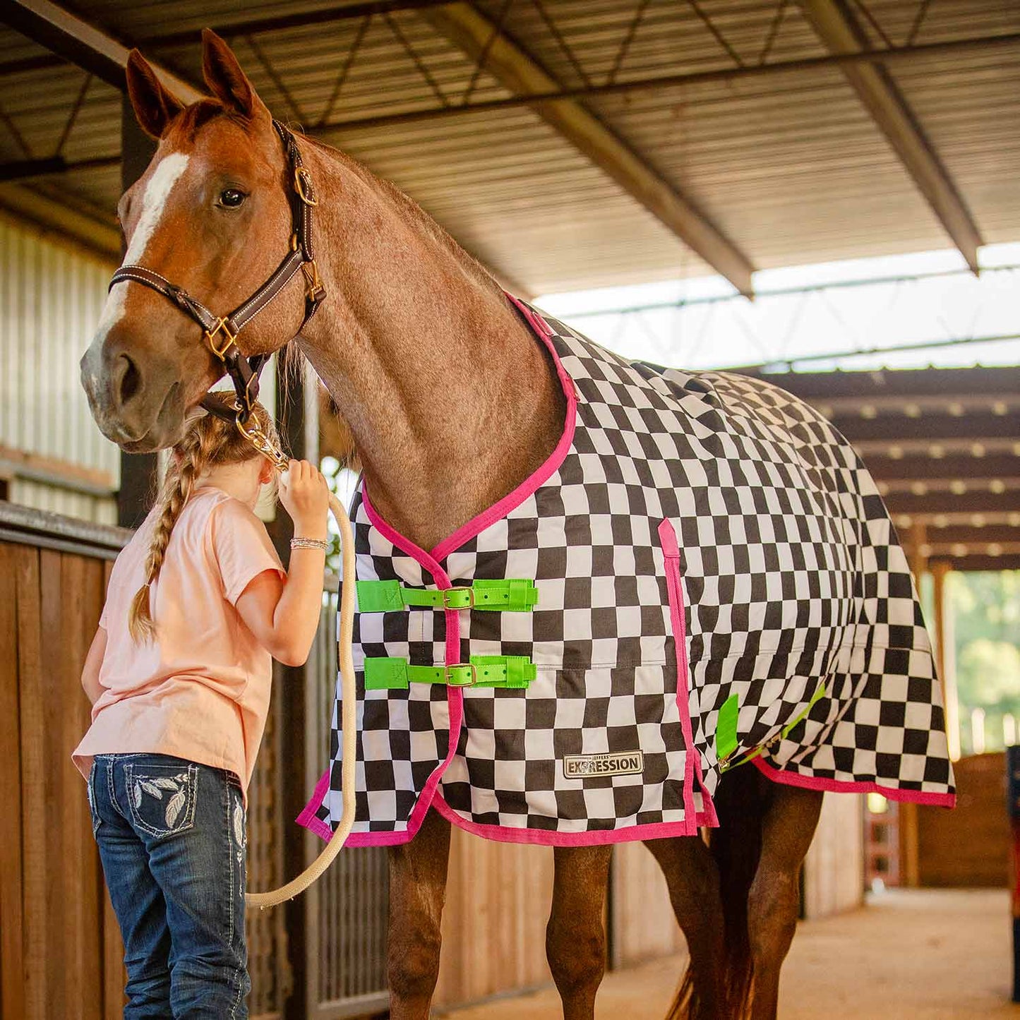 Jeffers Expression 1200 Denier Standard Neck Horse Turnout Sheet, 0 Gram