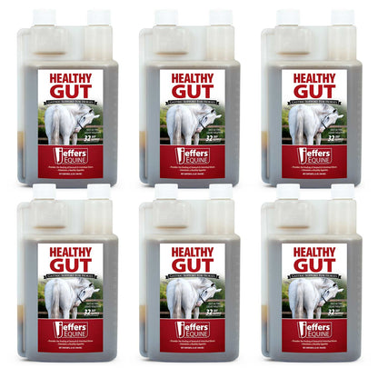 Jeffers Healthy Gut Gastric Support Liquid Supplement for Horses