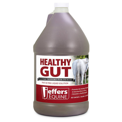 Jeffers Healthy Gut Gastric Support Liquid Supplement for Horses
