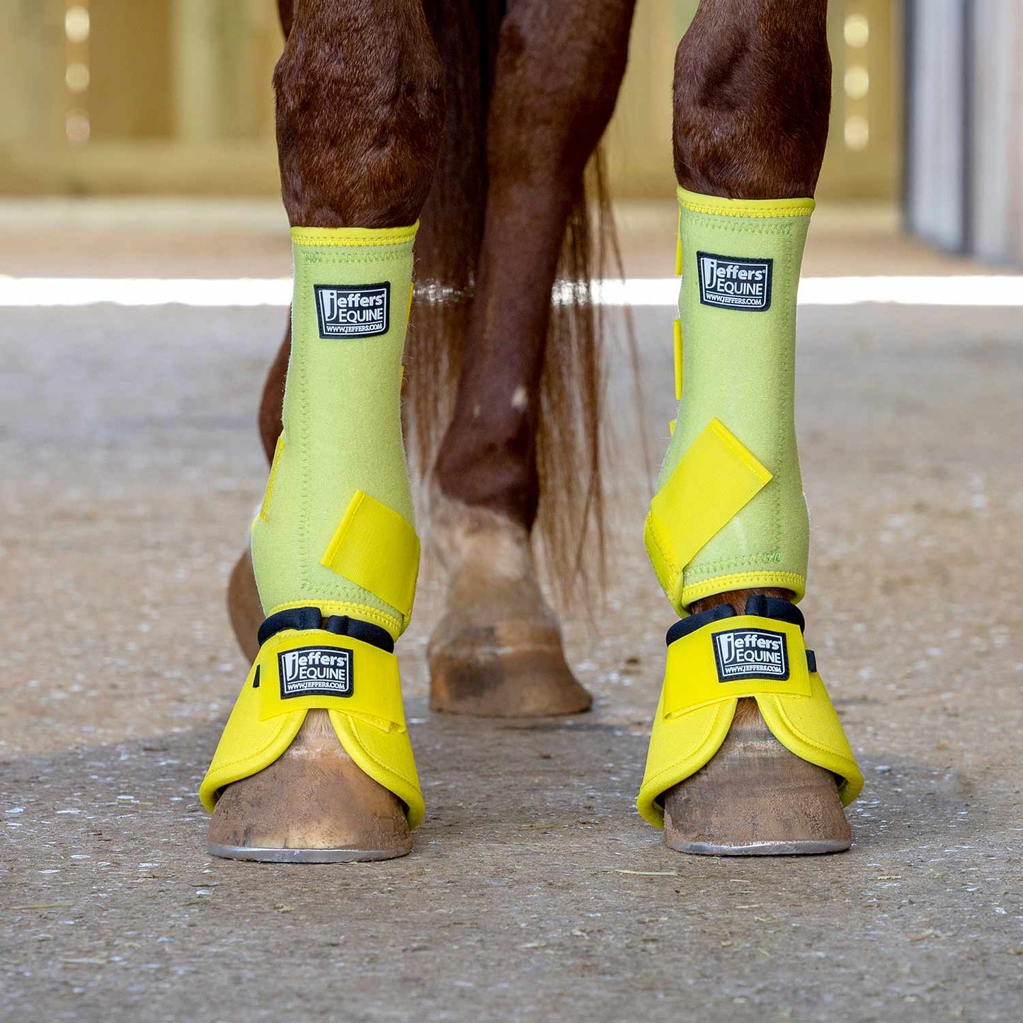 Jeffers Protective Horse Boots, Solid Colors