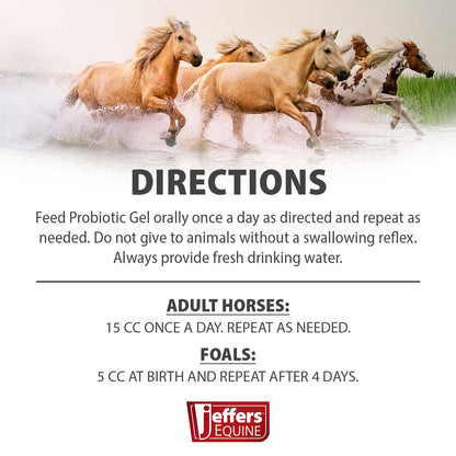 Jeffers Probiotic Gel for Horses, 2 Dose Syringe