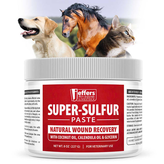 Jeffers Super-Sulfur Skin & Wound Healing Paste for Pets, Horses, & Livestock